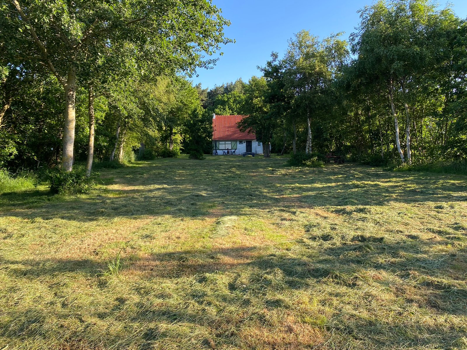 Heideland